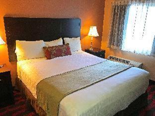 Americas Best Value Inn&Suites-Forest Grove/Hillsboro Chambre photo